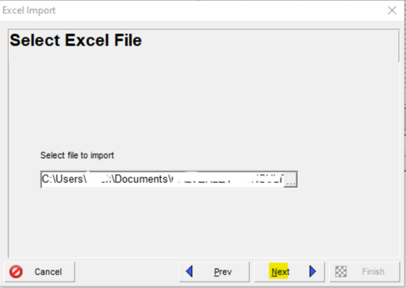 Select Excel file import in Primavera P6