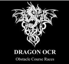 Dragon Slider ―Rondom obstacle race 9222-9203-7523 by sanvo