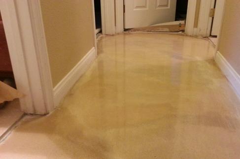 tan beige polished decorative floor