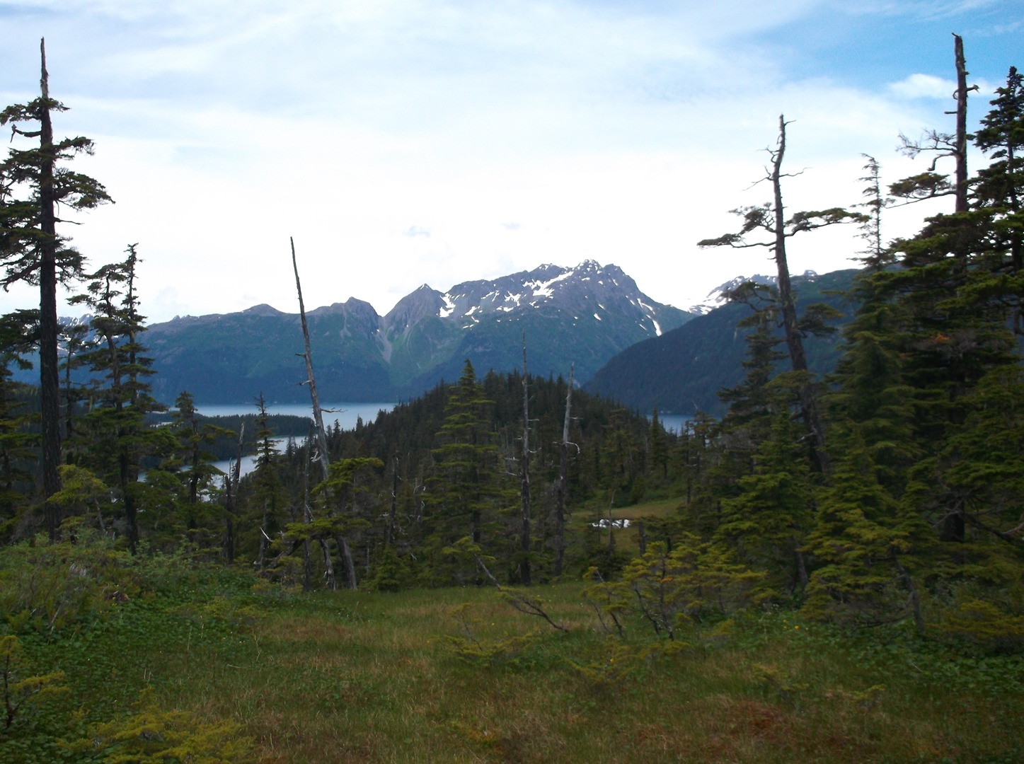 Alaska Land And Property Sales Cabins, Land, Hunting Land For Sale