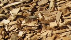 mulch pine