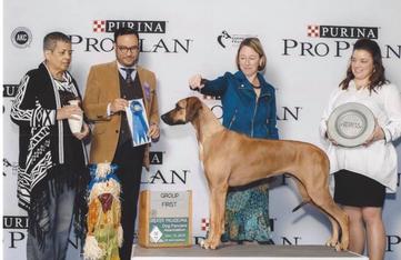 National dog show 2018 best sale rhodesian ridgeback