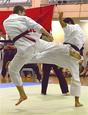 Kyokushinkai Karate Kumite senior photo
