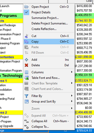 How to provide XER file without cost data Primavera P6