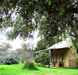 the cottage is historic and the oldest building around williams