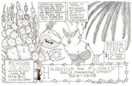 A hand-drawn cartoon of Vic and Nat'ly by Michigan gladioluses and Boston ferns, talking about where each came from