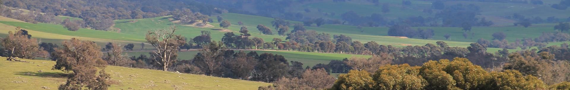 Horse accommodation near perth