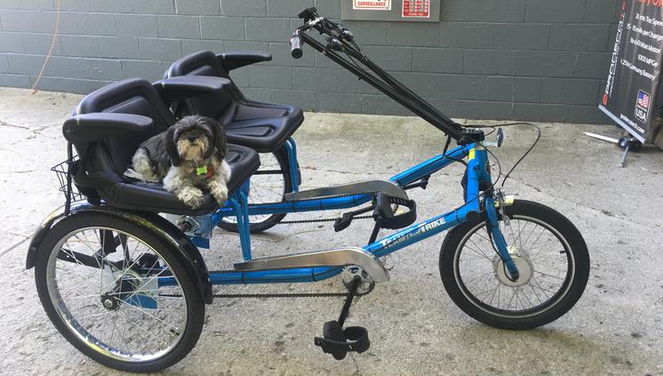 Custom Electric Trikes