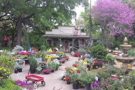 The front entrance of Wilson Landscape Nursery and Florist in Helotes Texas at 14650 Bandera Road with a wide variety of native, annual, perennial flowers and plants for sale
