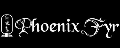 2014 Phoenix Fyr Info Pages