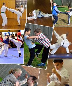 Kyokushinkai Karate Gymea Dojo Promotional Photo