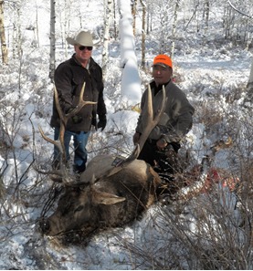 elk hunts hunting guided northwest colorado west old openings ranch