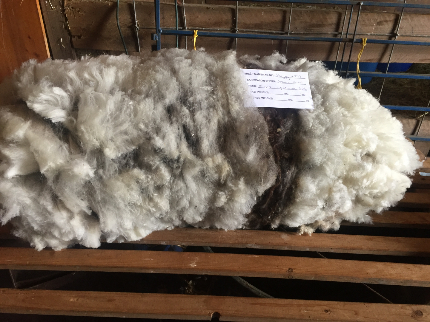 4 oz Carded Angora Wool