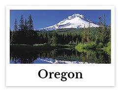 Oregon online chiropractic CE seminars continuing education courses for chiropractors credit hours state board approved CEU chiro courses live DC events