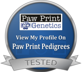 <a href="https://www.pawprintgenetics.com/pedigrees/dogs/details/3510/" title="Dally's Paw Print Pedigrees Profile" target="_blank"><img src="https://ppg-web-external.s3.amazonaws.com/static/pedigrees/img/dog_seal.043408b9053c.png" alt="Paw Print Pedigrees Dog Seal" title="Tested by Paw Print Genetics" style="max-width: 300px;"/></a>