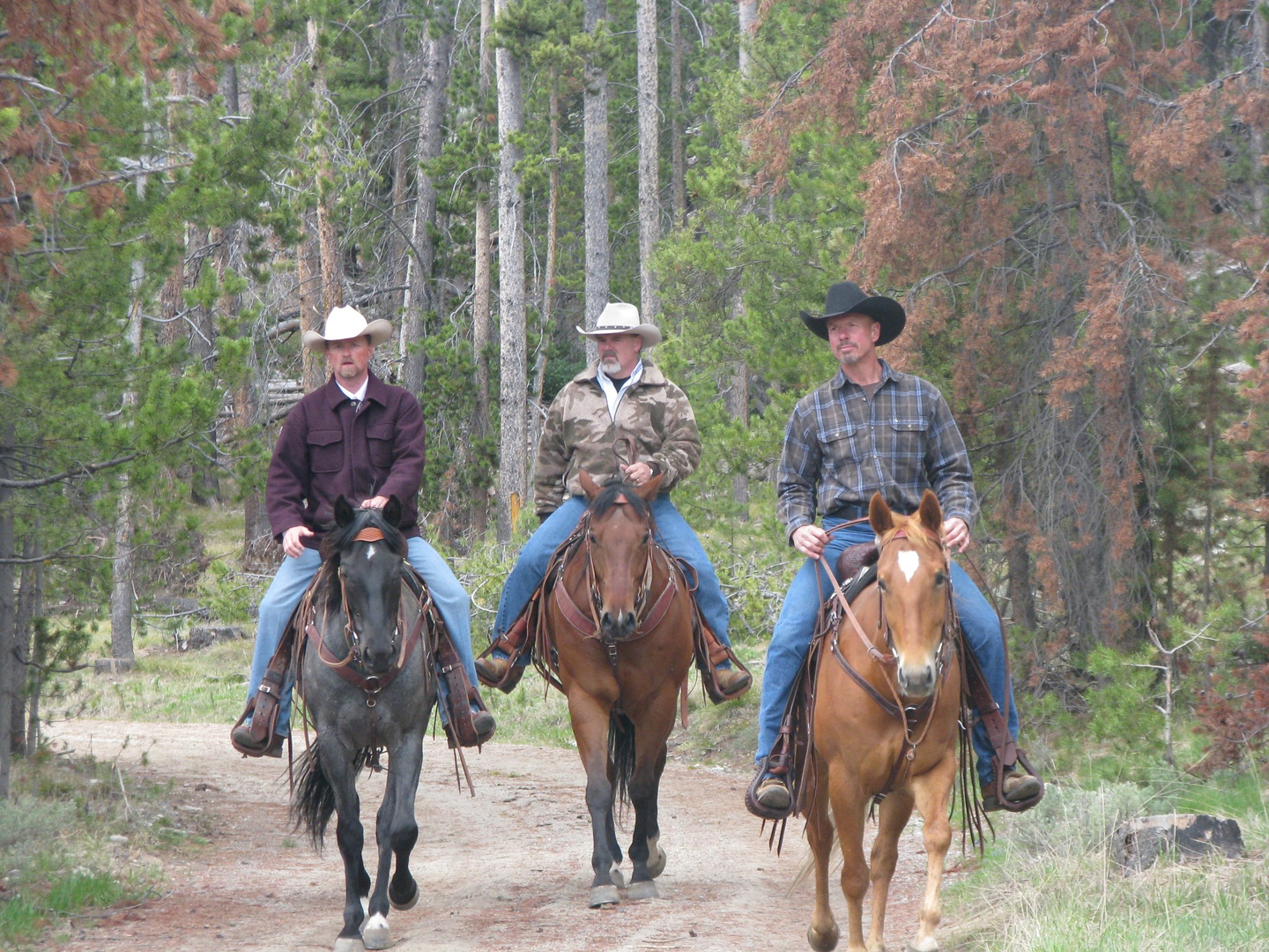 Caught Up in a Cowboy: This Cowboy Turned Hockey Player Needs to Bring His  Game to Win Back the Heart of His High School Sweetheart (Cowboys of  Creedence, 1): Marts, Jennie: 9781492655695: