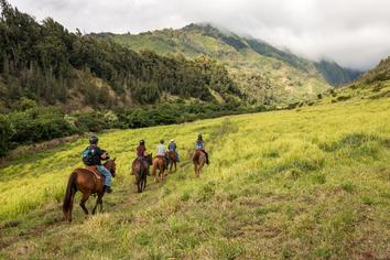 horseback riding, trail rides, maui activity, horse riding, horsemanship