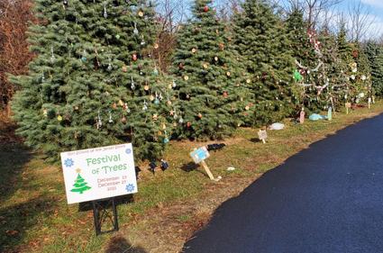 Girl Scouts Festival of Trees at Orchard Park in Wall, NJ