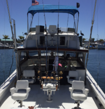 One of the 30 Mahi-Mani caught - Picture of Jolly Roger II, Key