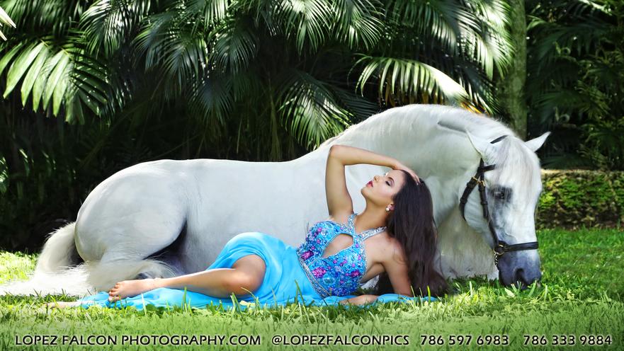 HORSE FOR QUINCEANERA PHOTOGRAPHY IN MIAMI FOTOS DE 15 ANOS QUINCE CON CABALLO BLANCO QUINCEANERA WHITE HORSE