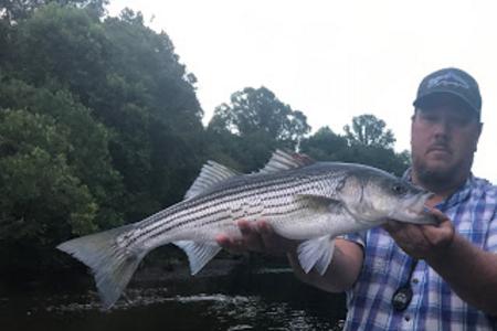 United State] Striped Bass Fishing the Tennessee River