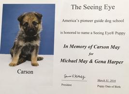 Carson, The Seeing Eye dog named in memory of Carson May
