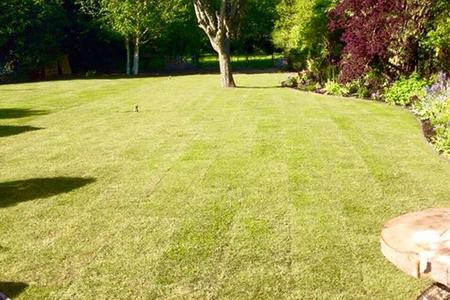 Landscape gardener, Warminster