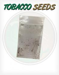 Tobacco Seeds for growing tobacco plants