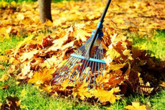 BEST LAS VEGAS HENDERSON YARD CLEANUP SERVICES