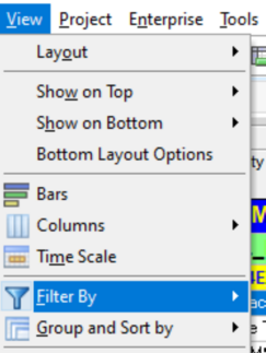 Select view tab and filter by in Primavera P6