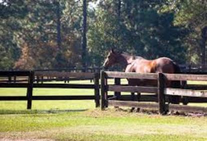 Southern Pines Horse farms For sale