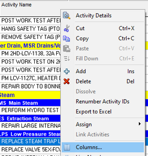 Right-click Primavera P6 column headers or activities