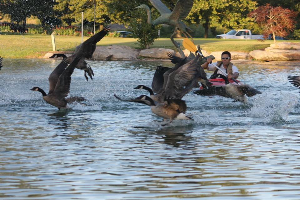 Geese Police of Western Pennsylvania PA Brandon Bowen Man in kayak chasing problem canada geese