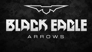 Black Eagle Arrows Logo