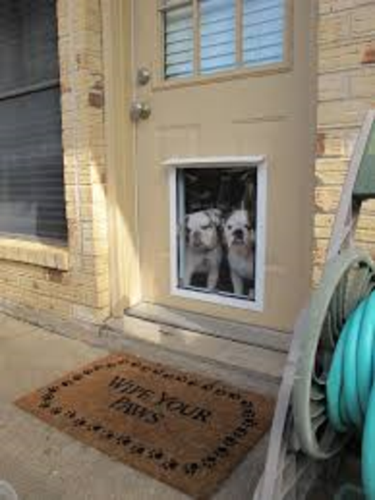 Pet Door Installation Services and Cost in Lincoln, NE | Lincoln Handyman Services