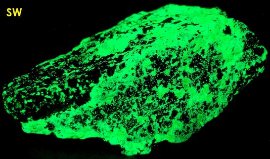 FRANKLINITE and fluorescent green WILLEMITE - Franklin Mine, Franklin, Franklin Mining District, Sussex County, New Jersey, USA – Franklinite type locality - ex Mineral Showcase