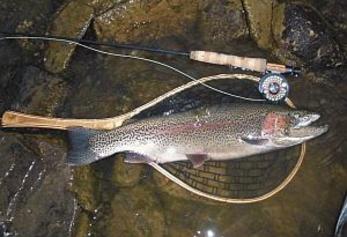 Toccoa River - Hiwassee River Guides