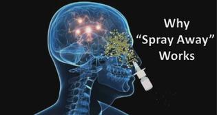 Beat Sinusitis Spray Away Nasal Spray for Sinusitis