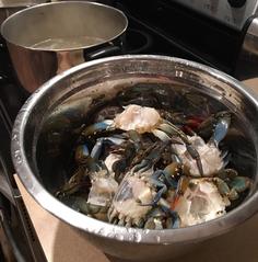 Cooking Florida Blue Crabs
