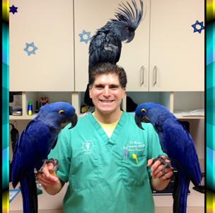 Parrot vets best sale near me