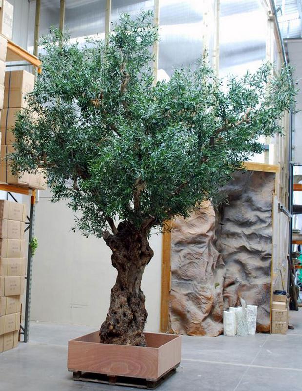 Dreams Garden Preserved Trees, Artificial Trees, Indoor Trees