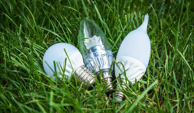 three lightbulbs in the grass