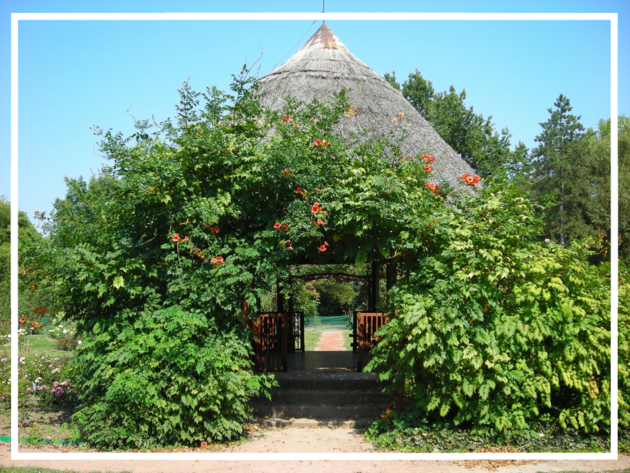 Ivy clad hive shaped iconic rest stop