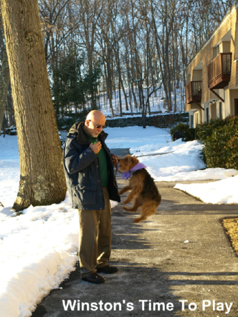 Bob Maida doing trick training with a dog student.