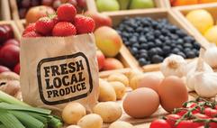 Southeast Area Farmers Market Returns