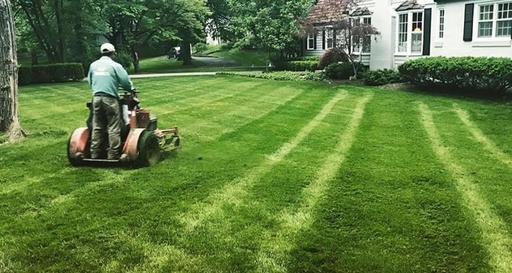 RESIDENTIAL LAWN CARE MORIARTY NM