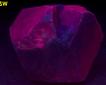 fluorescing MICROCLINE AMAZONITE - Crystal Peak area, Teller Co., Colorado, USA