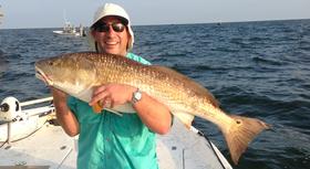 Bull Reds