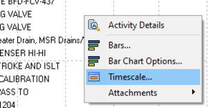 Choose timescale from pull-down menu in Primavera P6