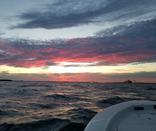 sunset cruise charleston sc